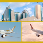 エティハド航空とターキッシュどちらがいい？中東経由のヨーロッパ・アフリカ