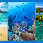 海外リゾートならハワイorアジア？王道のハワイとバリ・セブ・プーケットを比較